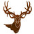 Mule Deer Wall Art
