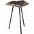 Petrified Wood Accent Table