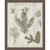 Pine Collector II Framed Canvas