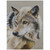 Portrait of a Wolf Print