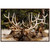 Racks Framed Art