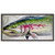 Rainbow Trout Framed Canvas