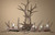 Reproduction Elk Antler Chandelier