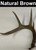 Reproduction Whitetail and Mule Deer Antler Chandelier - Large