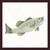 River Rapids Small Mouth Bass Wall Art