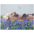 Serendipity III 11 x 14 Limited Edition Print