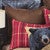 Solid Brown Euro Sham - OVERSTOCK