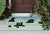 Splashing Bears Indoor/Outdoor Rug - 3 x 4