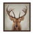 Stag Portrait Framed Canvas