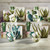 Succulent Cactus Dessert Plates - Set of 4