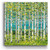 Summer Forest Indoor/Outdoor Wall Art