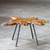 Teak Wood Forest Coffee Table