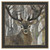 The Guardian Framed Print