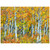 Trunks of Aspen Trees Indoor/Outdoor Canvas Art