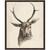 Watercolor Animal Study I Framed Print