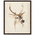 Watercolor Animal Study IV Framed Print