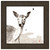 Watercolor Deer Framed Print