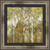 Western Birch Forest Framed Print