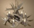 Real White-tail Deer Antler Chandlier