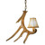 Whitetail Deer 1 Antler Pendant