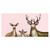 Whitetail Family Blush Canvas Art