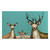 Whitetail Family Teal Canvas Art