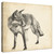 Wildlife Snapshot Fox Gallery Wrapped Canvas