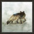 Winter Fox I Canvas Art