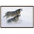 Winter Howl Canvas Art