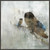 Winter Owls Canvas Art