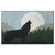 Wolf Moon Accent Rug