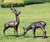 Woodland Deer Garden Sculptures - Set of 2