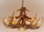 Whitetail 12 Antler Chandelier with Downlight
