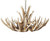 Mule Deer 12 Antler Chandelier