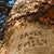 Upward Forest Personalized Wrapped Canvas Triptych