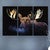 Misty Moose Triptych Wall Art