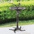 Tree Branch Bird Bath