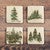 Mystic Evergreens Coasters - Set of 4