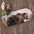 Glancing Bear Oval Rug