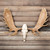 Alaskan Moose Antler Mount