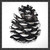Pinecone Sketch I Wall Art