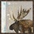 North Woods Moose Wall Art I