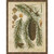 Vintage Conifers I Wall Art
