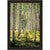 Baby Evergreen Wall Art
