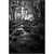 Autumn Creek Wall Art