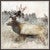 Vintage Elk II Wall Art