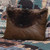Brown Bear Faux Fur Envelope Pillow
