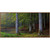 Woodland River III Wall Art