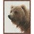 Bear Portrait Wall Art