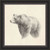 Bear Sketch Wall Art